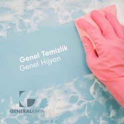 genel_temizlik